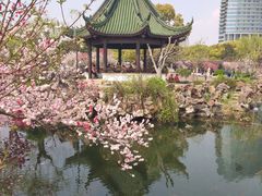 -无锡蠡湖国家湿地公园-蠡园