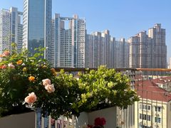 -浅深Cheersum(曹杨店)