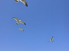 -刘公岛景区