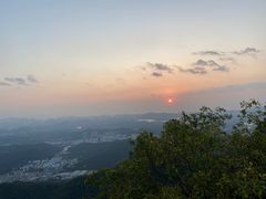 -阳台山森林公园