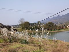 -丰盛镇响水水库