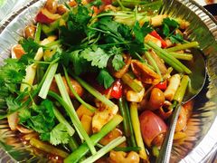 -蒲园食堂(中山大学广州校区南校园店)