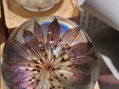 -谷莠子花艺·气球派对·绿植造景·花艺沙龙(金光华广场店)