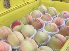 -老袁家蜜桃农场·阳山水蜜桃