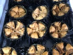 -宾朋海鲜特色美食餐厅·纯手工鲅鱼水饺(兴海路店)