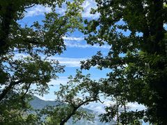 -陕西省红河谷森林公园