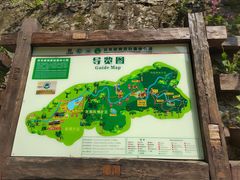 -西双版纳原始森林公园