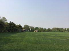 -银树楼(紫玉山庄东区店)