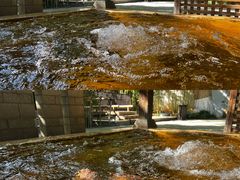 -春晖园度假酒店温泉