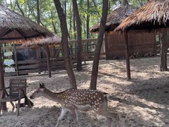 -南戴河国际娱乐中心