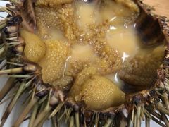 -海胆小馆(东北水饺·春柳店)