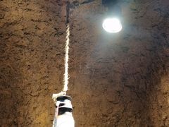 -破瓦寒窑·地摊烤羊排