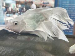 -长春农业博览园