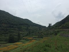 -四明山国家森林公园