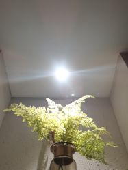 -香秀空间科技抗衰·美容中心