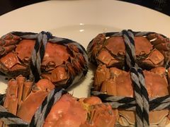 -丽都皇冠假日酒店·Matrix亦餐厅(望京店)