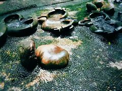 -成都市活水公园