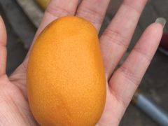 -鲜丰水果(九洲新世界花苑店)