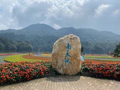 -广州市石门国家森林公园