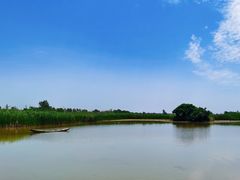 -盐城丹顶鹤湿地生态旅游区