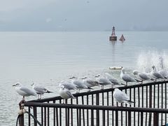 -滇池海埂公园
