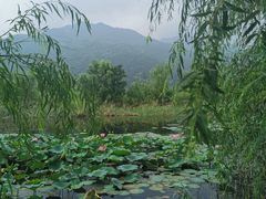-田峪河公园