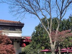 -碧云国际社区·晓园