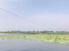 -白洋淀景区