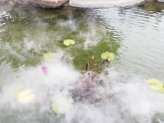 -惠和石文化园