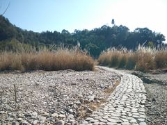 -楠溪江风景名胜区