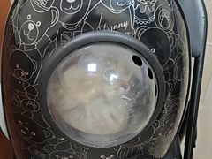 -艾贝尔宠物医院·狂犬免疫点(江山金象城店)