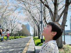 -苏州独墅湖世尊酒店