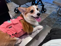 -J Create城市露营咖啡·简餐·宠物(上海动物园店)