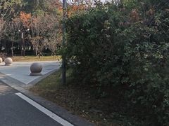 -同里国家湿地公园