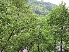 -上海佘山世茂艾美酒店