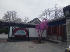 -荣国府