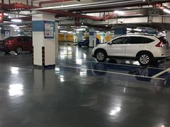 -莘庄龙之梦停车场