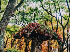 -共青国家森林公园-售票处