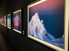 -罗红摄影艺术馆