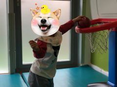 -乐融婴幼儿成长中心(四季青校区)