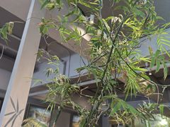 -本处·素食·融合料理(南油店)