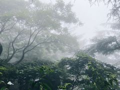 -崂山巨峰游览区