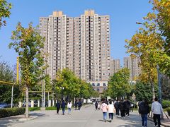-鲜芋仙(高新益田假日里店)