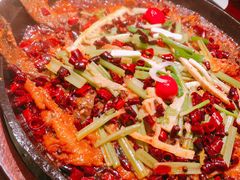-老板恋上鱼(荣盛广场店)