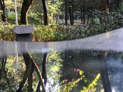 -广州雕塑公园