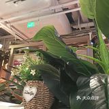 美味泰式料理就在泰妃殿