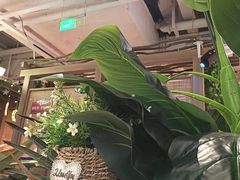 -泰妃殿(新世界旗舰店)