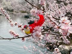 -国家植物园