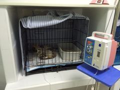 -乐嘟嘟宠物医院