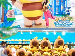 -凯德MALL(西直门店)